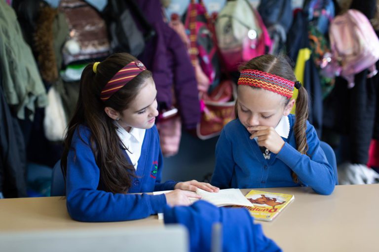 Holly trees primary school homework 07 picture