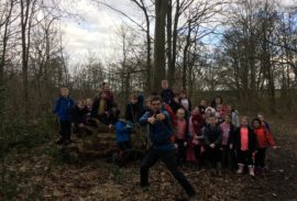 Sherwood Forest Sherwood Forest