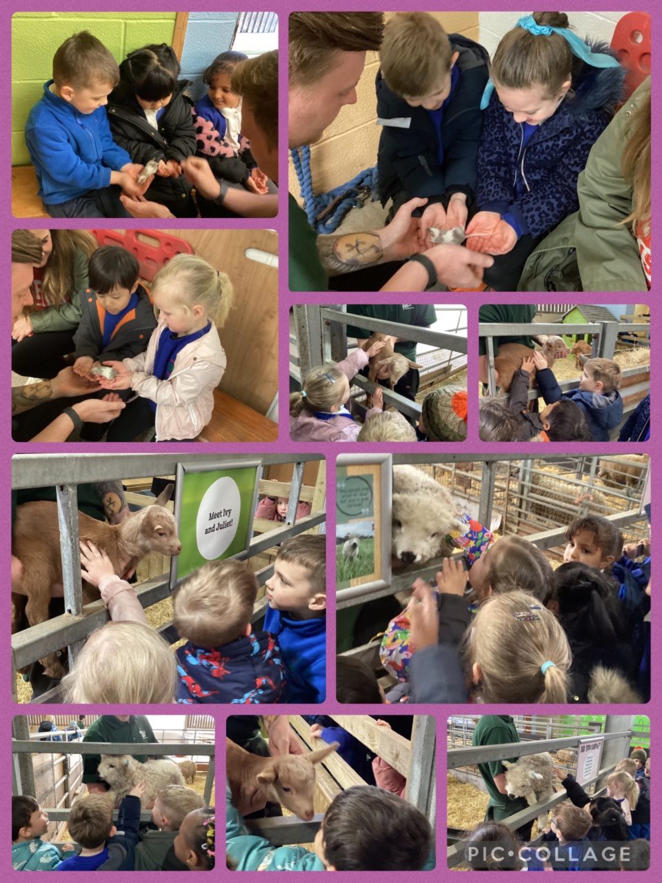 Image 01DF47F0 DE09 4F31 87FB 4DF3CEF656FD